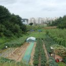 반곡농장 이미지