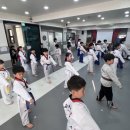 조아태권도 이미지