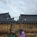 밀양향교 | 부산 근교 밀양 아이와 가볼만한 곳 밀양향교 매화명소 후기 걸어가는 봄 여행 코스