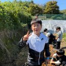 용인대 명인 태권도장 이미지