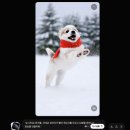 인공지능(AI)과 친해질 수 있을까? | [강의후기] 그록(Grok)으로 6초 만에 끝내는 AI 영상 제작! 4060 중장년도 쉽게 하는 법