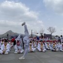 고일태권도 이미지