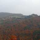 신흥목장 Daum카페