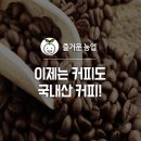 다시 정리한 국내 커피재배
