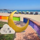 월포해수욕장야영장 | 포항 월포해수욕장 개장 이용요금 취사 파라솔 샤워장 까지