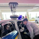 덕인초등학교 병설유치원 이미지