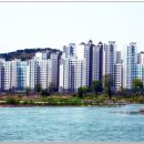 엘드수목토아파트 이미지