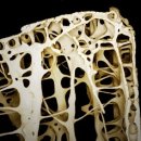 명인한약국 이미지