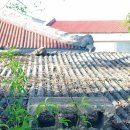 무릉2리(평지동) 이미지