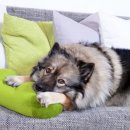 행복한 환경 이미지