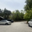 소근리막국수 - 광주시 도척윗로 165 | 양평애견동반식당 소근리막국수, 서울 근교 강아지 동반 식당 후기