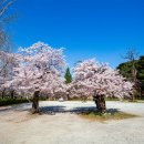 꿀단지 아이스크림&간식 이미지