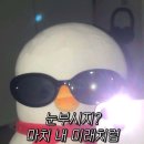 리드엠의원 티스토리