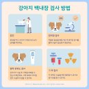 원당동물병원 이미지