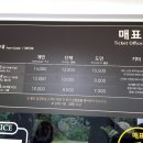 태풍카랜드 이미지