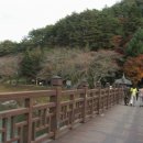 지촌목장 이미지