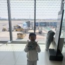 스위트마일 | 제주 일주일살기 (1) 제주 해비치 리조트 주니어스위트 후기