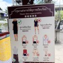 체디 | [태국]치앙마이에서 제일 큰 사원 왓 체디루앙 후기