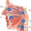 비인두암 4기 비인두암 김우빈 원인 이미지