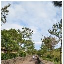 신례동로 이미지