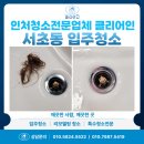 서초르네상스오피스텔 | 서초동 입주청소 인천청소업체 클리어인의 오피스텔청소후기