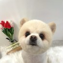 펫밀리쌀롱 이미지