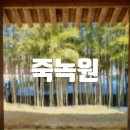 [담양] 포토스팟 정복한 담양 필수코스 가볼만한곳 추천 죽녹원