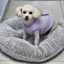 슬기로운 동물병원 이미지