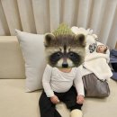 스마일리소아치과의원 이미지