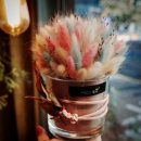 Flower늘봄 이미지
