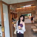 정소민 카카오 검색결과