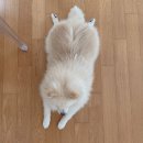 겟풀(GETPOOL) 이미지