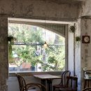 삐에드라 이미지