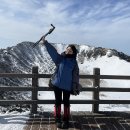 제주특별자치도청 | 제주도 한라산 성판악 VS 관음사 코스 비교 분석(난이도, 날씨, 예약, 통제, 준비물, 인증서)