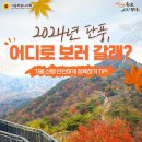 10월2일 뉴스브리핑 이미지