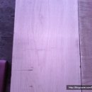 메이플피시 이미지