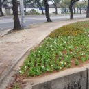 경주카센타 이미지