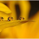 베이징스토리 이미지