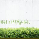소솜피부과 - 수원시 팔달구 | 소솜피부과