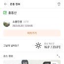 홍동산 Daum카페