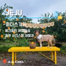 [제주 애견동반여행] 제주 반려견동반 테마파크 &amp; 제주 사진명소 파더스가든 동물체험, 동백꽃축제