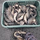 순정좌대 이미지