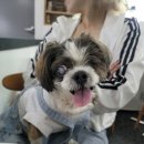 개네집곳간 이미지