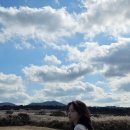 허니몽 | 12월초 제주 태교여행 떠나요 (in 신라호텔제주)