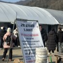 영어조합법인 해담인 | 내돈내산, "청양 알프스마을 얼음빙상축제" 주차장꿀팁, 후기, 총정리