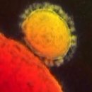 호법초등학교 이미지