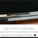 오블리&화이트펫 이미지