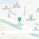 청주 애견유치원 꼬리흔들개Lucky 이미지