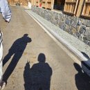 홍천산양목장 이미지