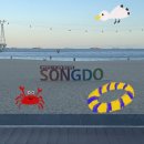 (송도/전포) 젤라송, 송도해수욕장, 송도제일밀면, 린그리메, 이재모피자 서면 별관, 발란사, 희소...